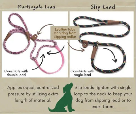 Martingale leash for dog walking training, showing the limited-slip design