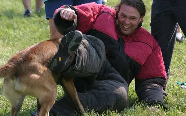 Michael Ellis demonstrating advanced dog training techniques, illustrating principles found in tactical dog training books.