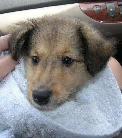 Misty Moon has, without doubt, the cutest name I've ever heard. And it's entirely befitting.