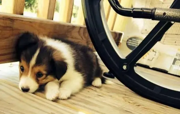 Mocha is wee! When you're this small, every crevice is an opportunity.