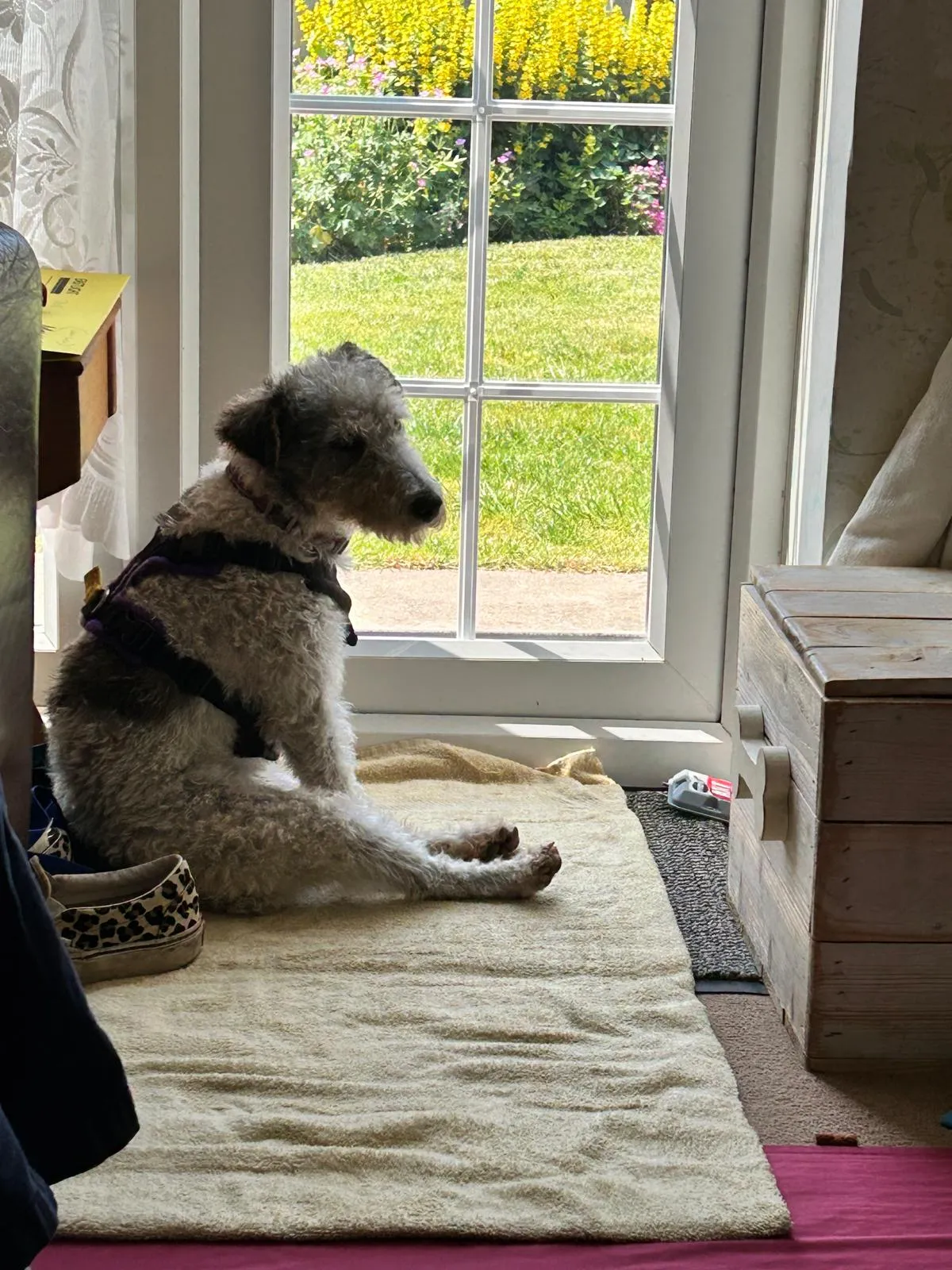 Molly looking timid but curious