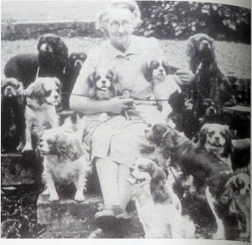 Mrs. Amice Pitt