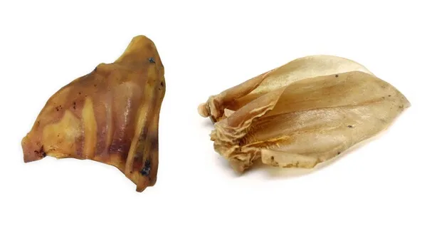 Natural pig and beef ears, crunchy and long-lasting dog chews that are great for dental care in large dogs