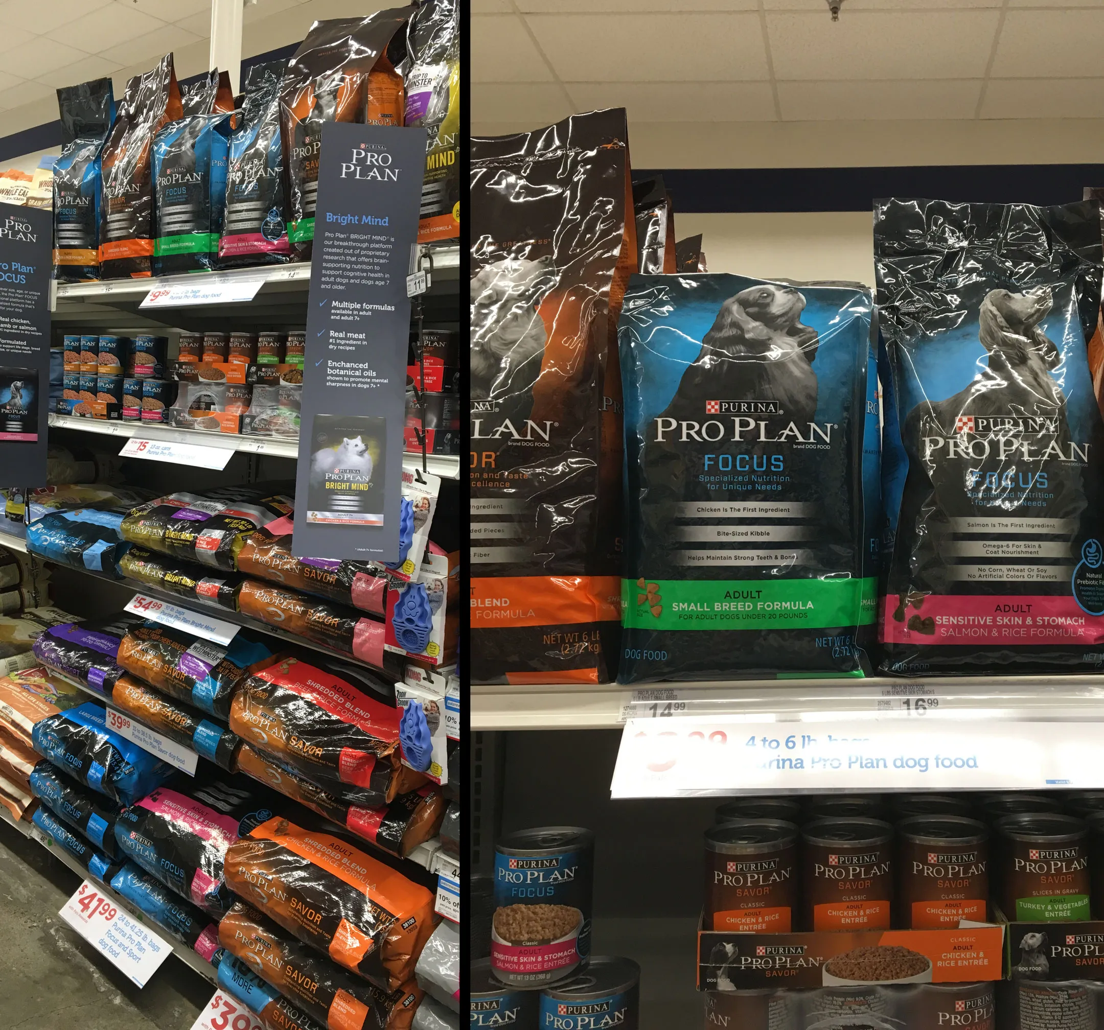 Nutritious dry kibble for dogs, an essential component of a healthy pet diet