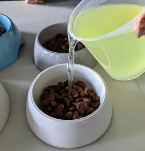 Nutritious whey from homemade yogurt being added to dog food bowls to moisten kibble and enhance best home cooked meals for dogs.