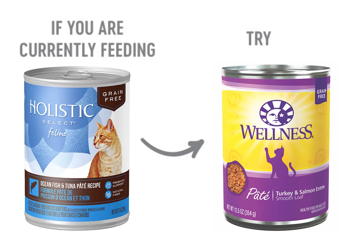 Ocean Fish and Tuna Pate Dog Food Recommendation