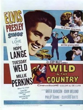 Official movie poster for Elvis Presley's 1961 film Wild in the Country, highlighting the dramatic elements and cast.