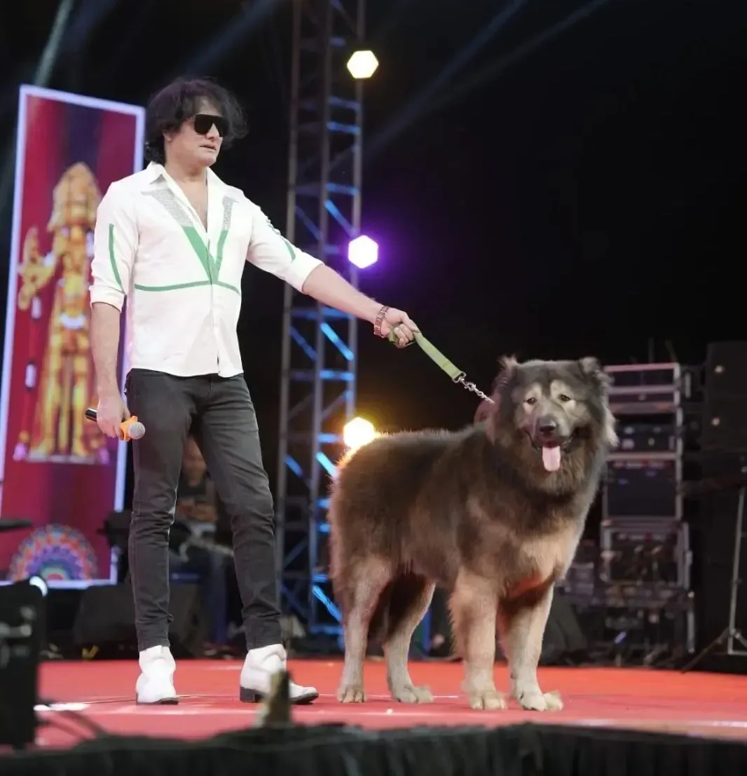 Okami is touted as the rarest dog in the world and believed to be the first breed of its kind.