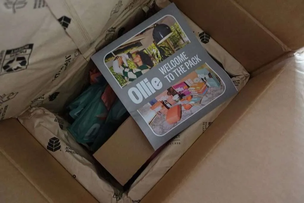 Ollie welcome box for dogs, featuring food containers and a scooper