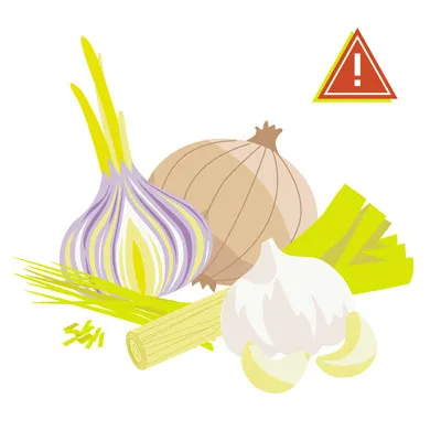 Onions and garlic bulbs