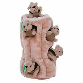 Outward Hound Hide A Squirrel Dog Toy Puzzle