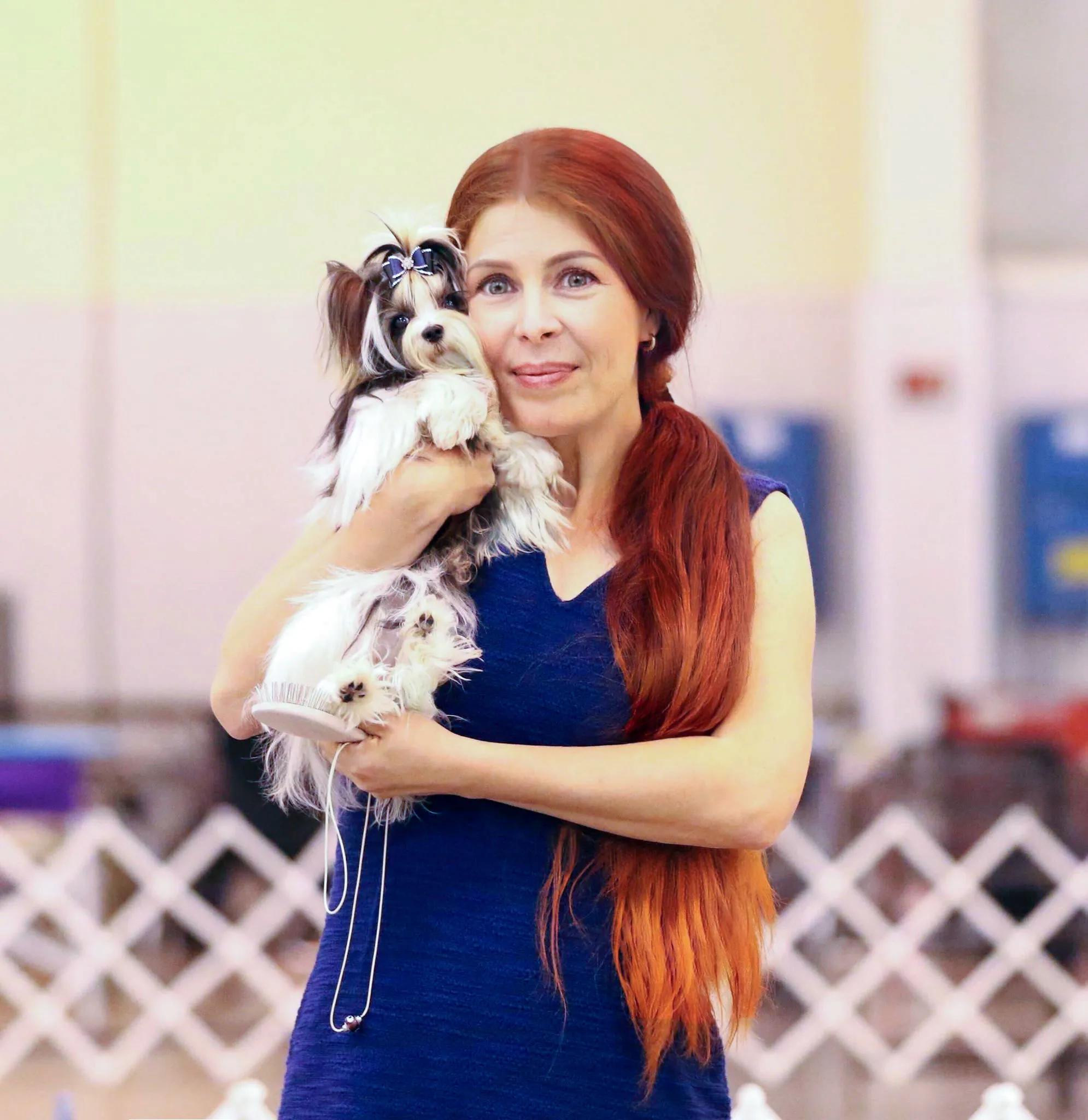 Owner affectionately holding a Biewer Terrier, emphasizing loving home care