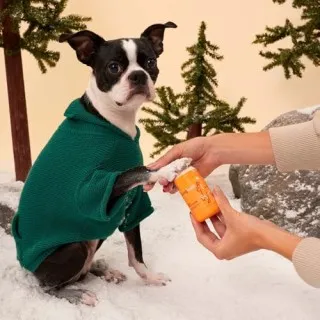 Paw Protector 