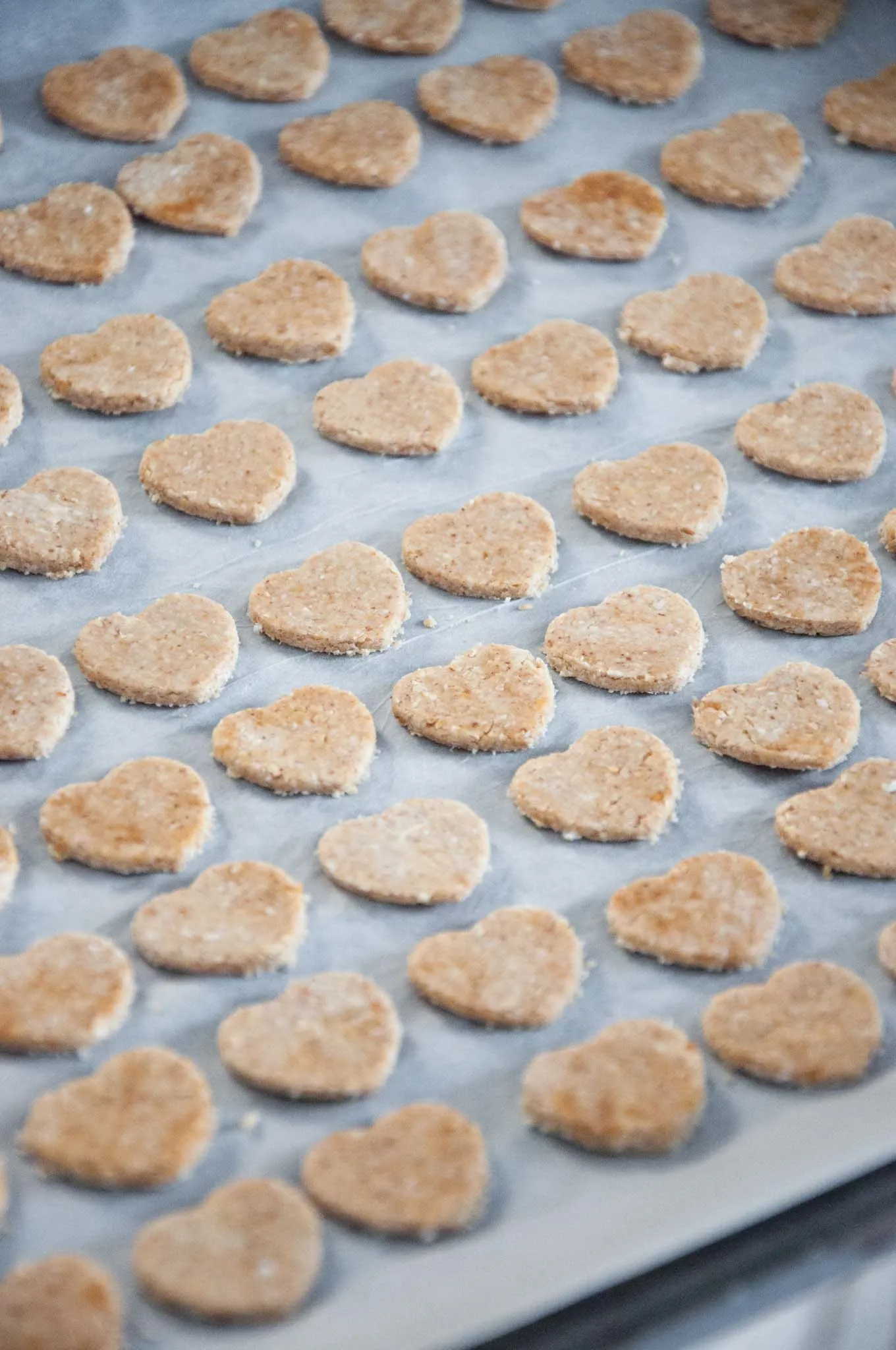 Peanut butter dog treat dough being rolled out on parchment paper
