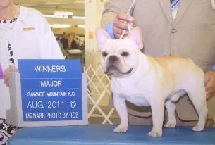 Peanut winning his first Major