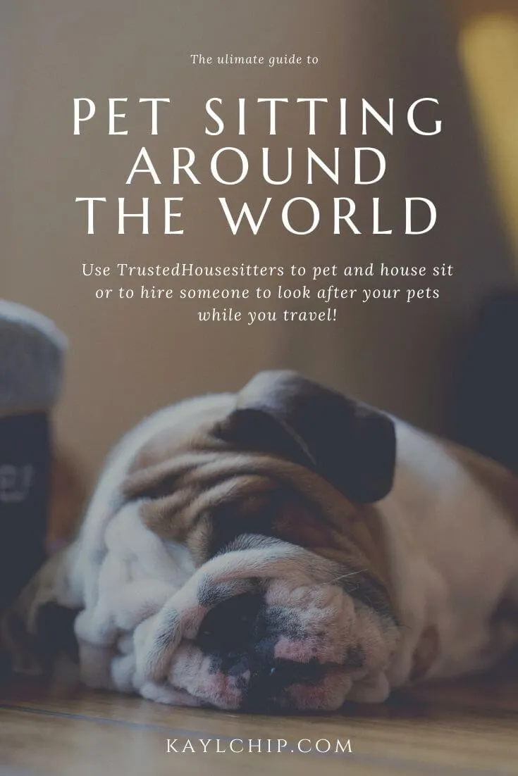 Pet sitting and travel