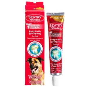 Petrodex Enzymatic Toothpaste for Dogs