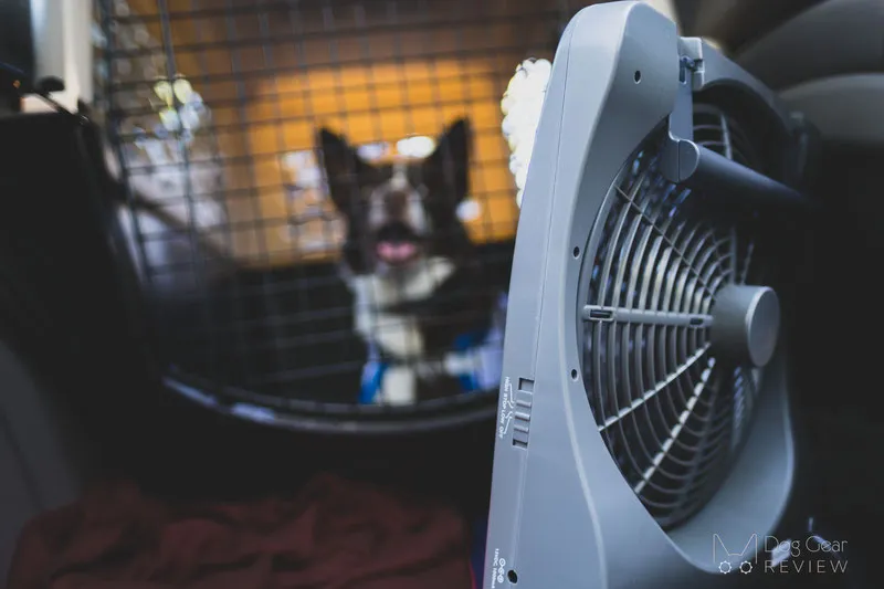 Portable fan set up in a car
