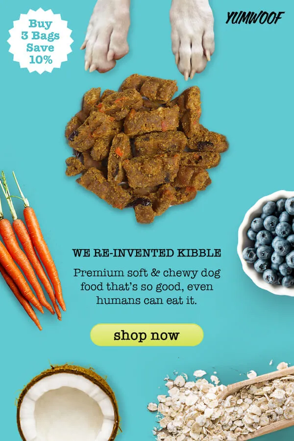 Premium soft kibble dog food with natural ingredients, ideal for dental health in senior dogs