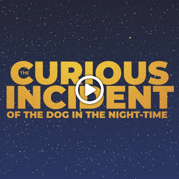 Promotional image for "The Curious Incident of the Dog in the Night-Time"