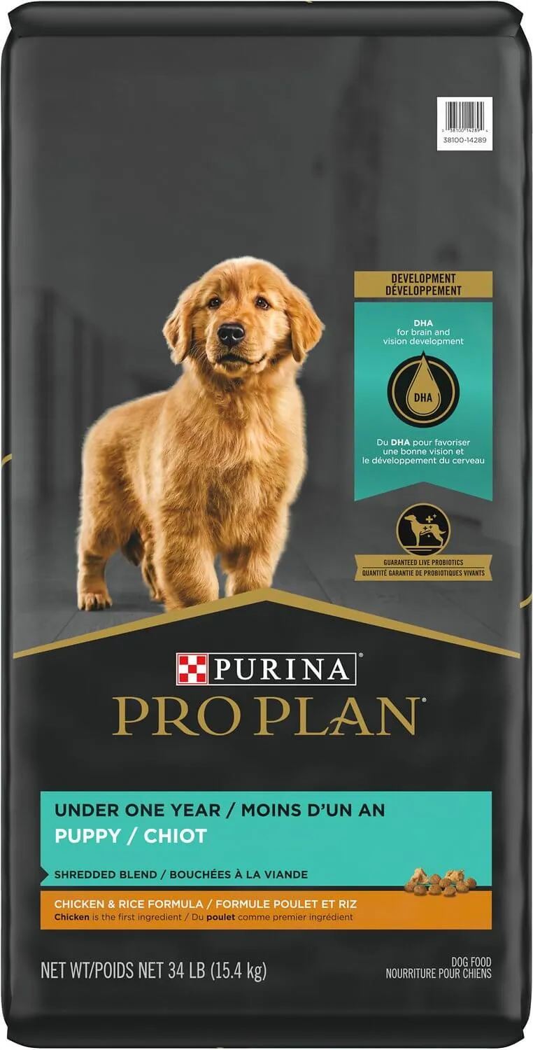 Puppy eating Purina Pro Plan puppy wet food