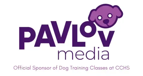 Puppy in a training class learning to sit