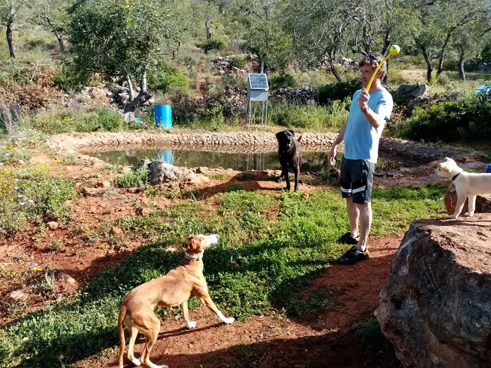 Puppy Max watching Lee test a ball launcher