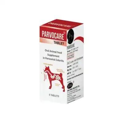 Puppy showing symptoms of parvo