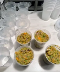 Quart-sized containers filled with homemade dog food, ready for freezing or immediate use.
