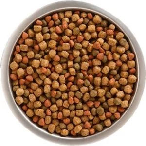 Rachael Ray Nutrish Dog Food Kibble Size