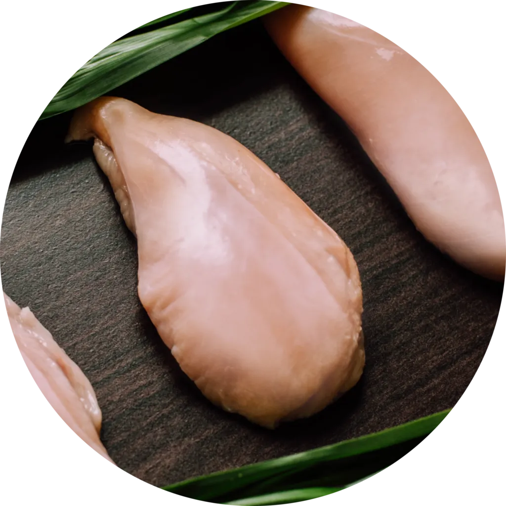 Raw chicken breast, highlighting chicken as the primary protein in Nature's Recipe