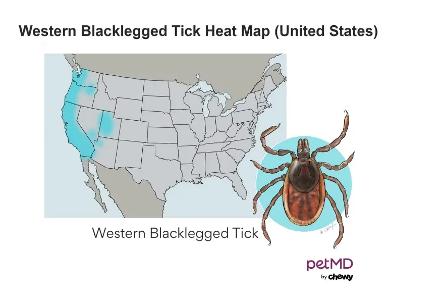 Regional Tick Distribution Map 3