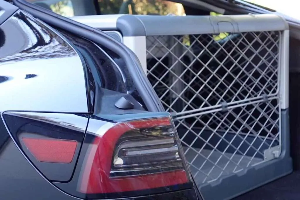 Revol in Tesla Model Y