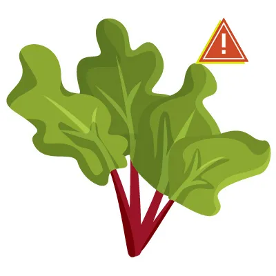 rhubarb