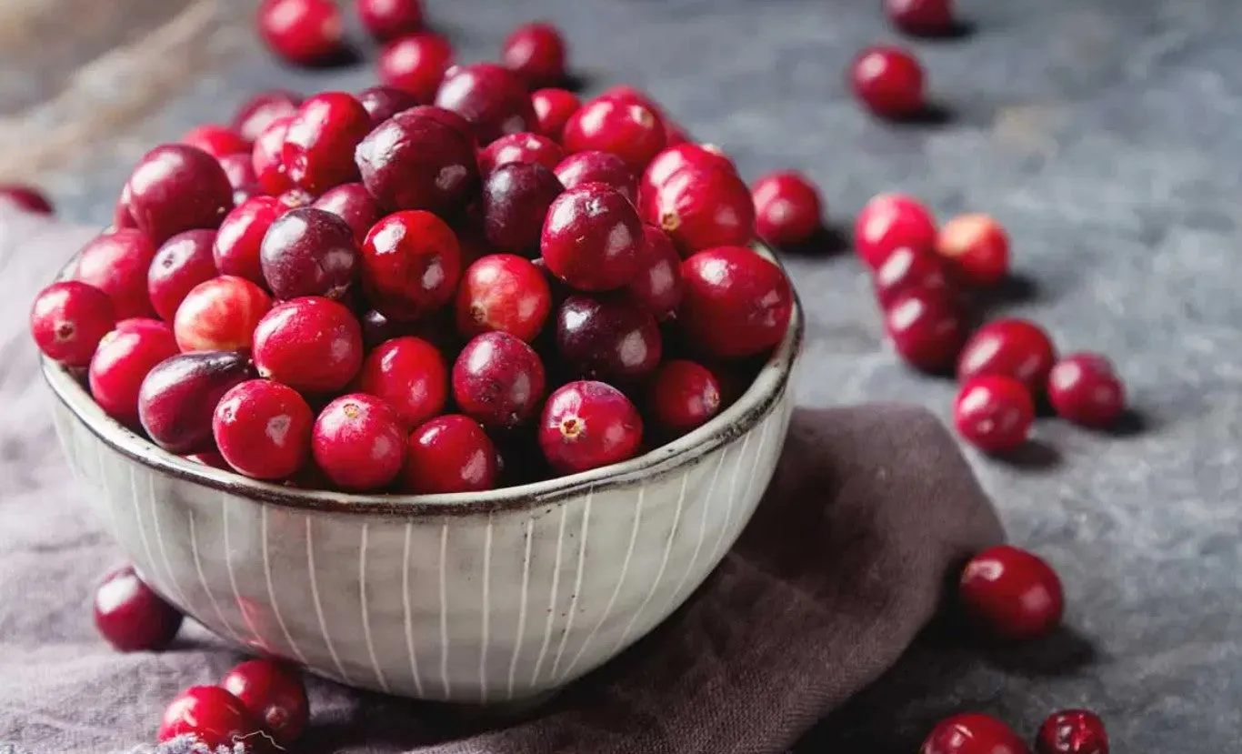 Ripe cranberries, known for supporting urinary tract health