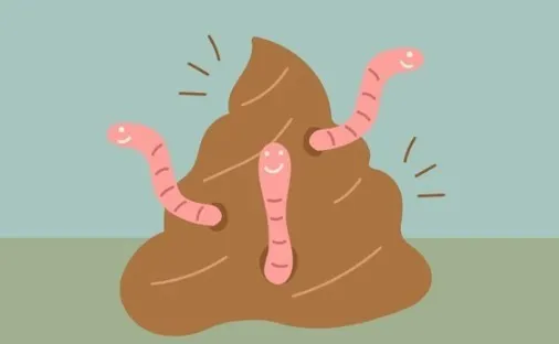 Roundworms in dog poop resembling spaghetti