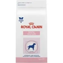 Royal Canin Canine Dental Dry Food