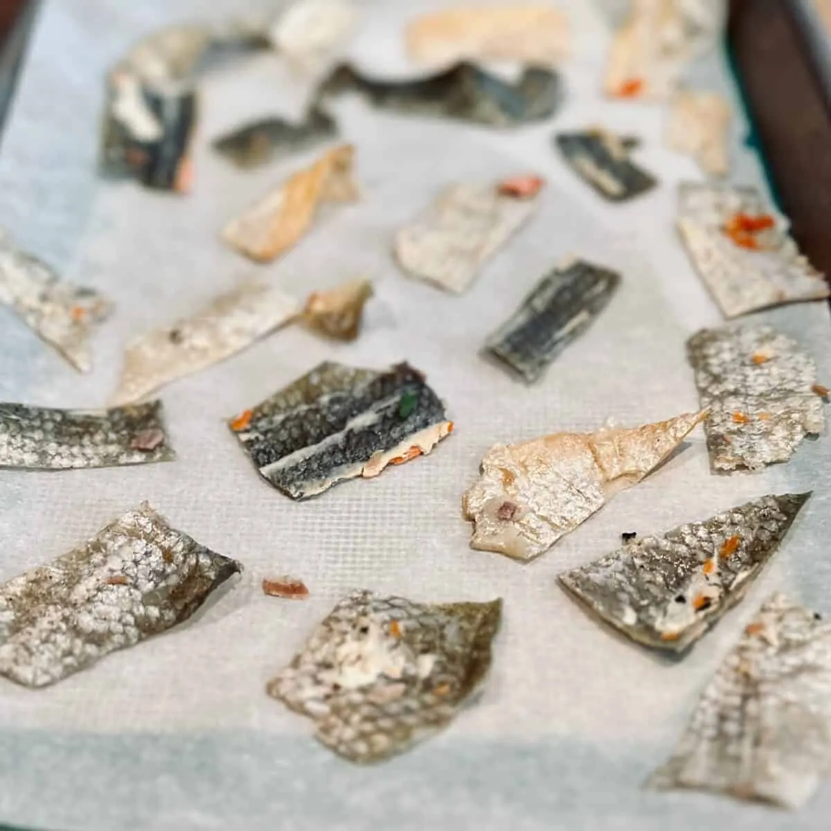 Salmon skin pieces before they are baked to create Crispy Salmon Skin Dog Treats.