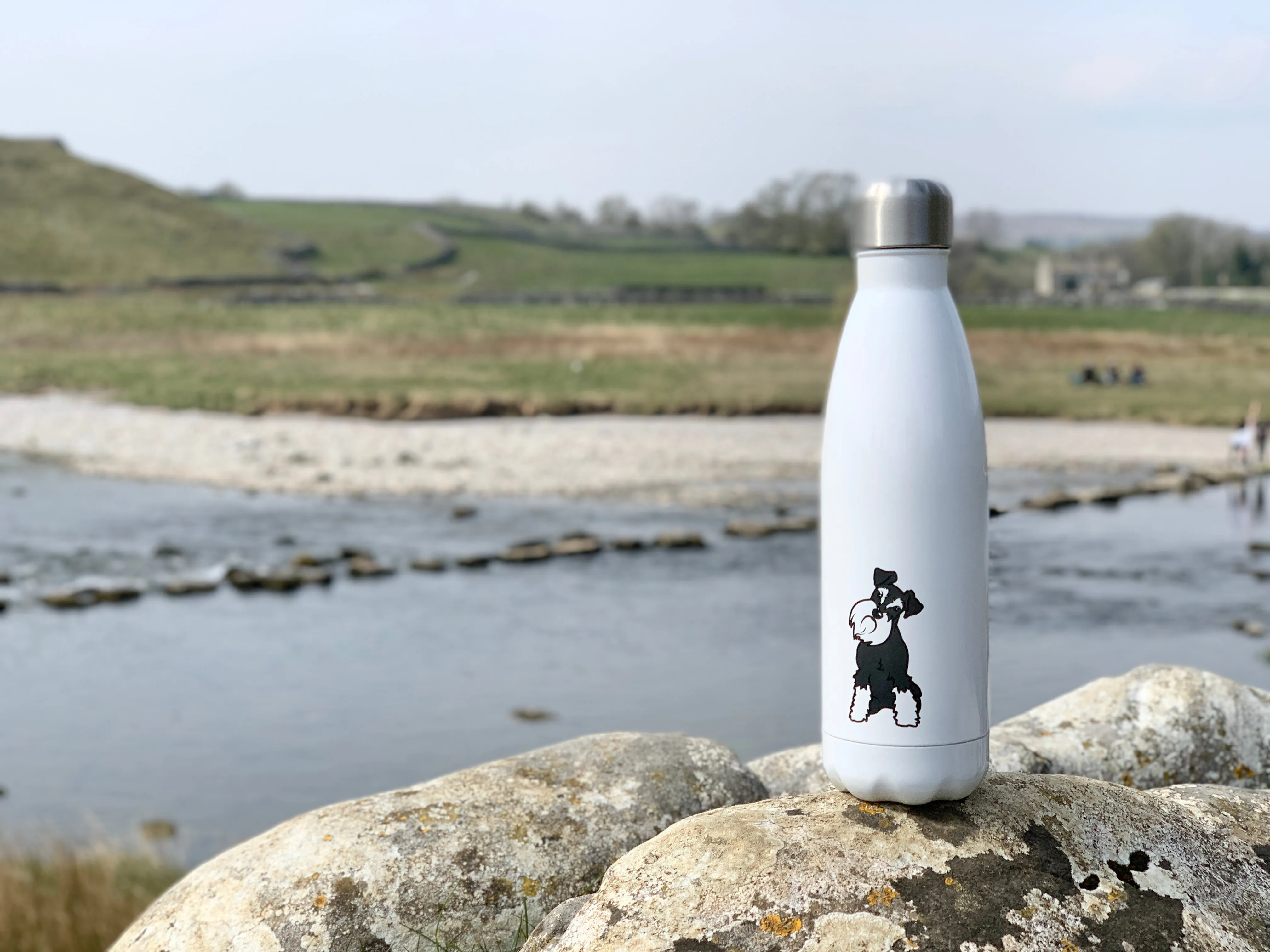 Schnauzer Water Bottle | Moo Moo &amp; Bear