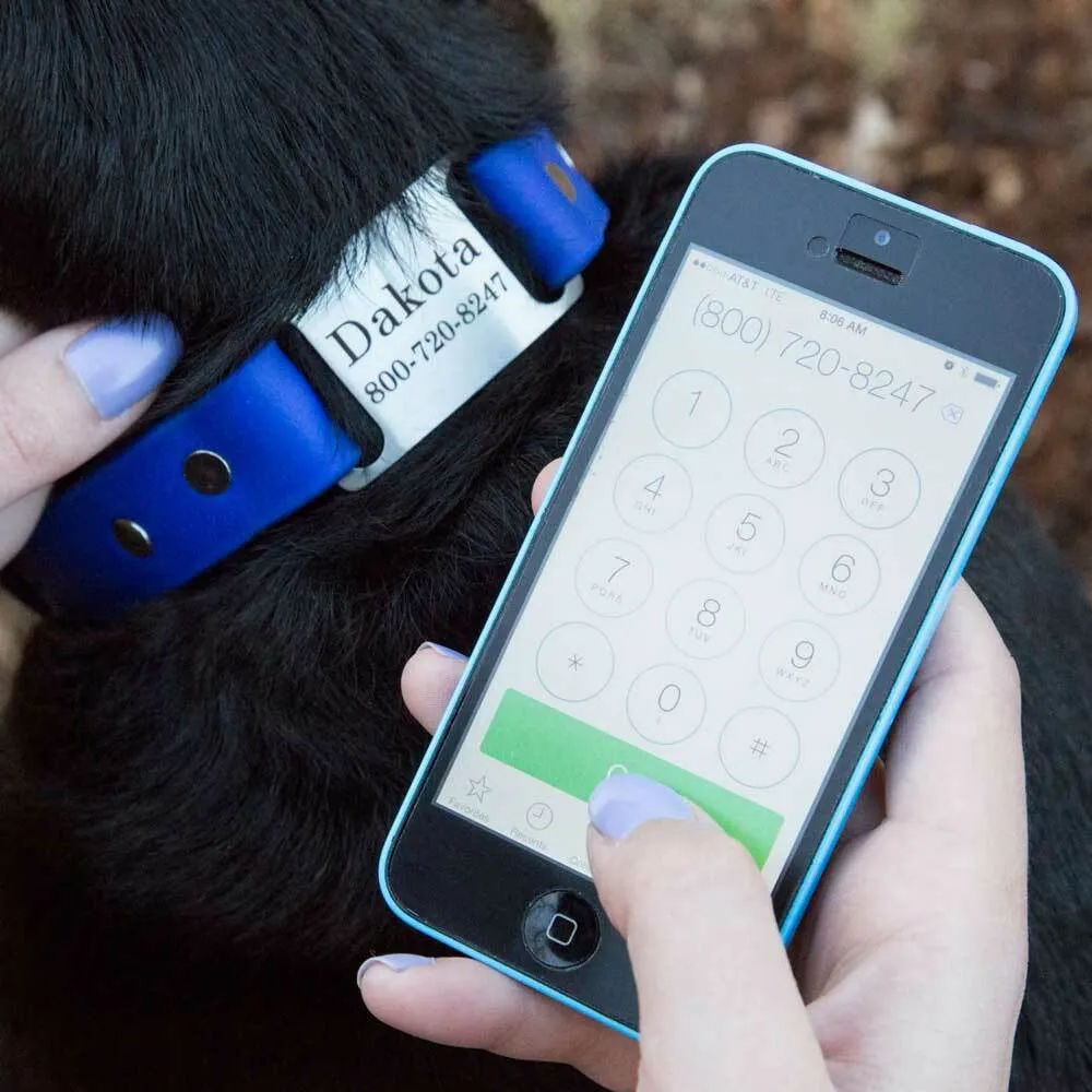 ScruffTag Collar Calling With Phone