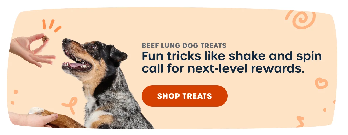 Shop Treats