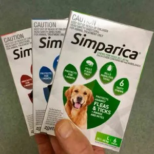 simparica flea mite tick