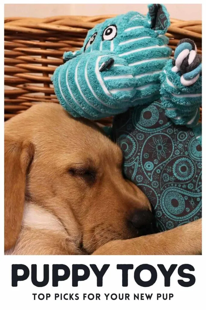 Sleeping yellow Labrador puppy in a basket with a kong hippo toy