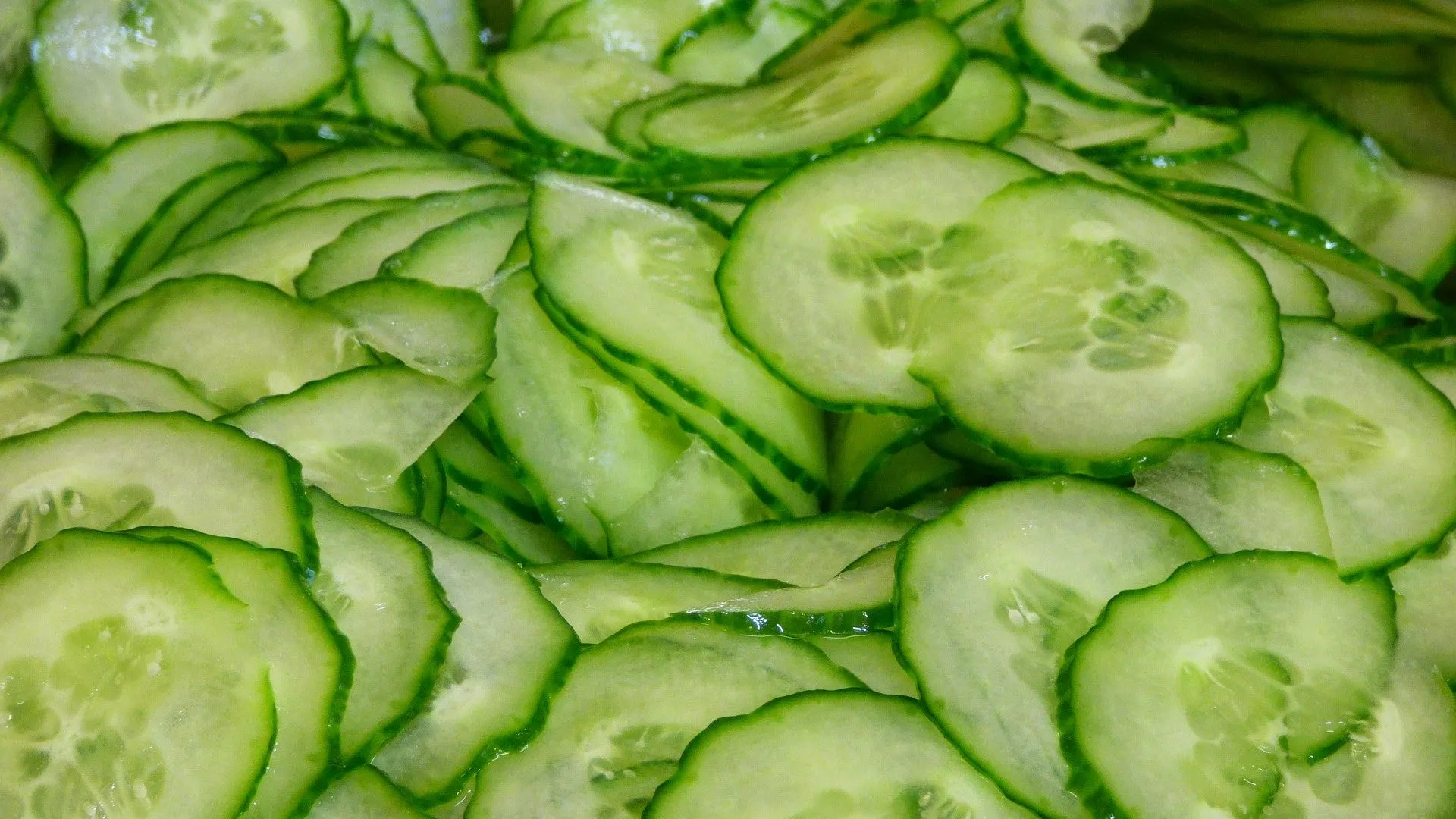 Sliced cucumber on a plate, a refreshing snack for pets