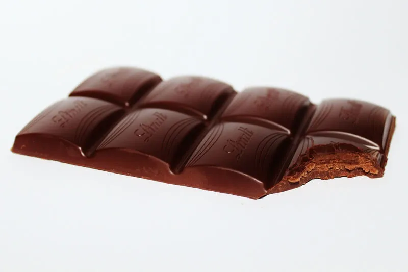Small dog looking at a chocolate bar with a worried expression