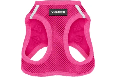 Small dog wearing a red mesh vest-style harness