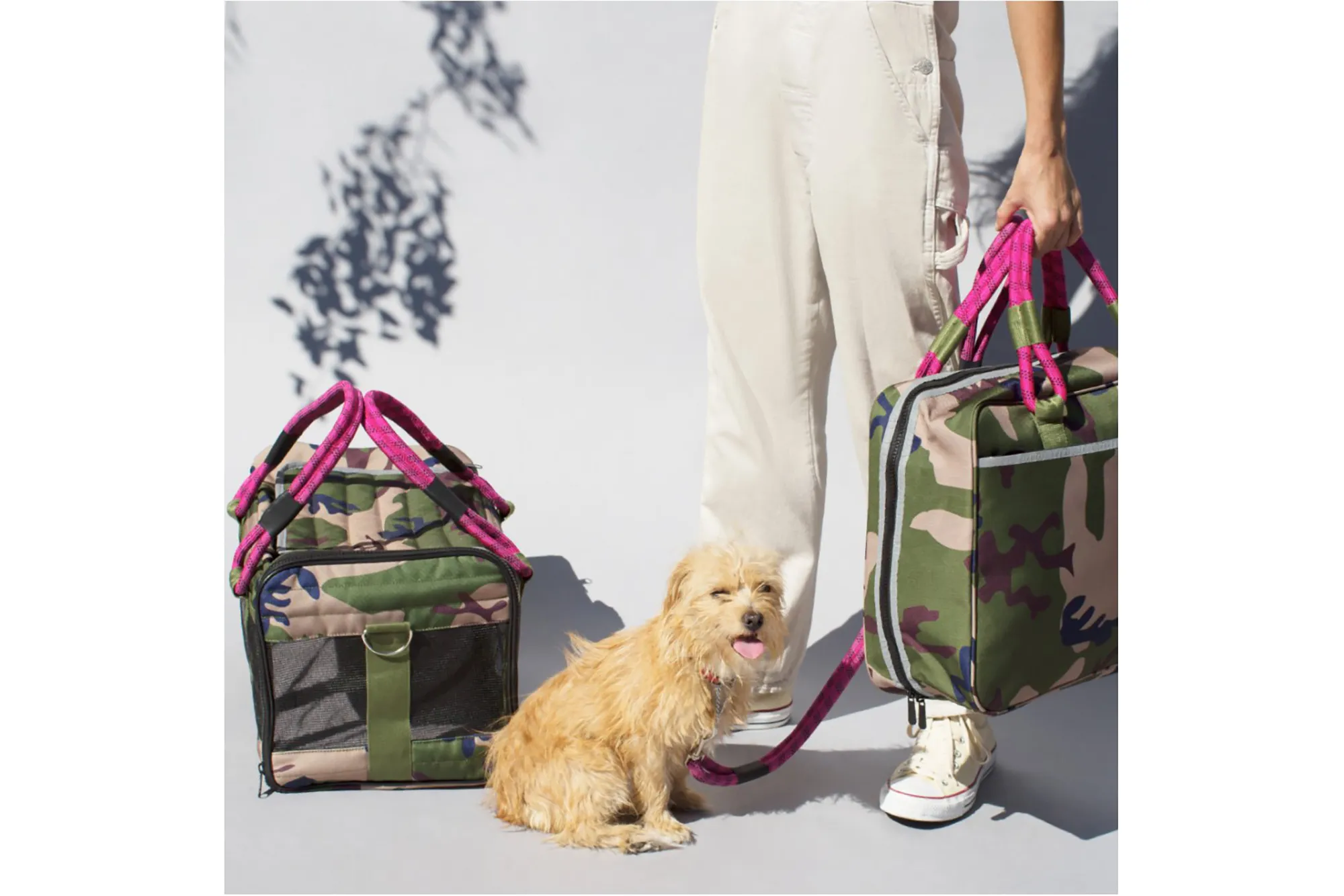 Small yellow dog with a stylish Roverlund travel carrier