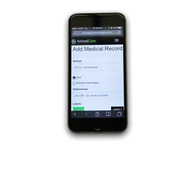Smartphone Access