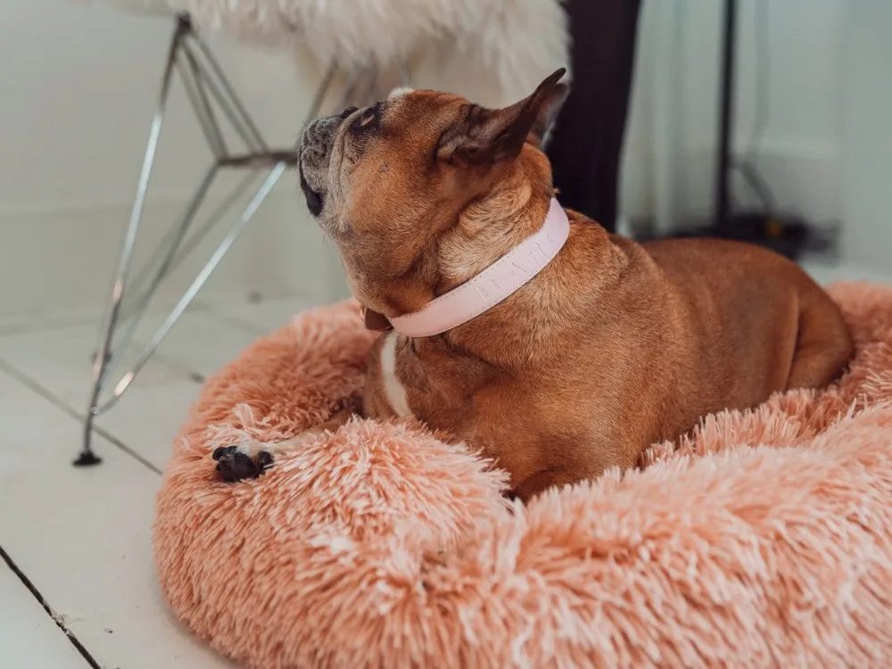 Soft, comfortable memory foam cushion providing support for a resting French Bulldog at home in the UK