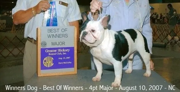 Spike winning a 4 Point Major
